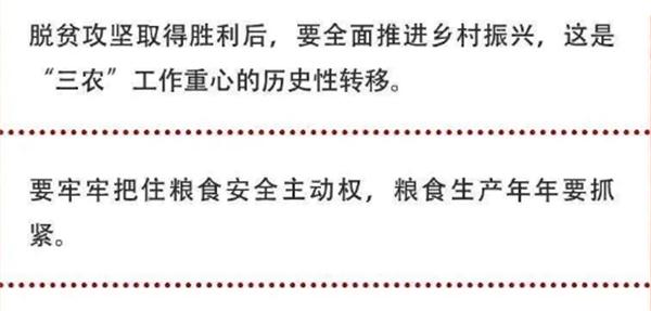 2020年中央農(nóng)村工作會(huì)議精神速覽！(圖2)