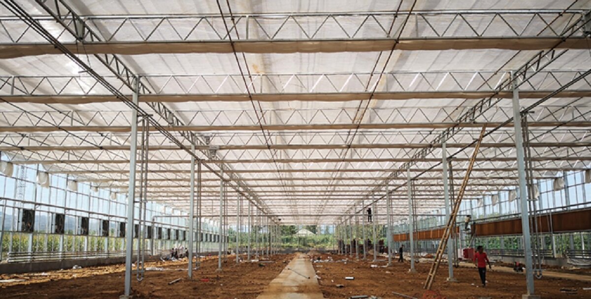 信橋鋼構(gòu)：打卡蒙陰農(nóng)業(yè)溫室大棚、青州黑牛養(yǎng)殖基地！(圖3)